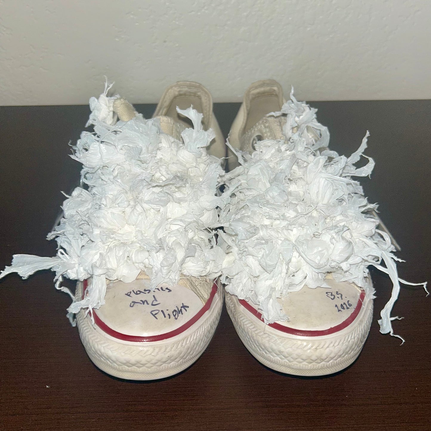 “Plastics and Plight” Sneakers (M6/ W8)