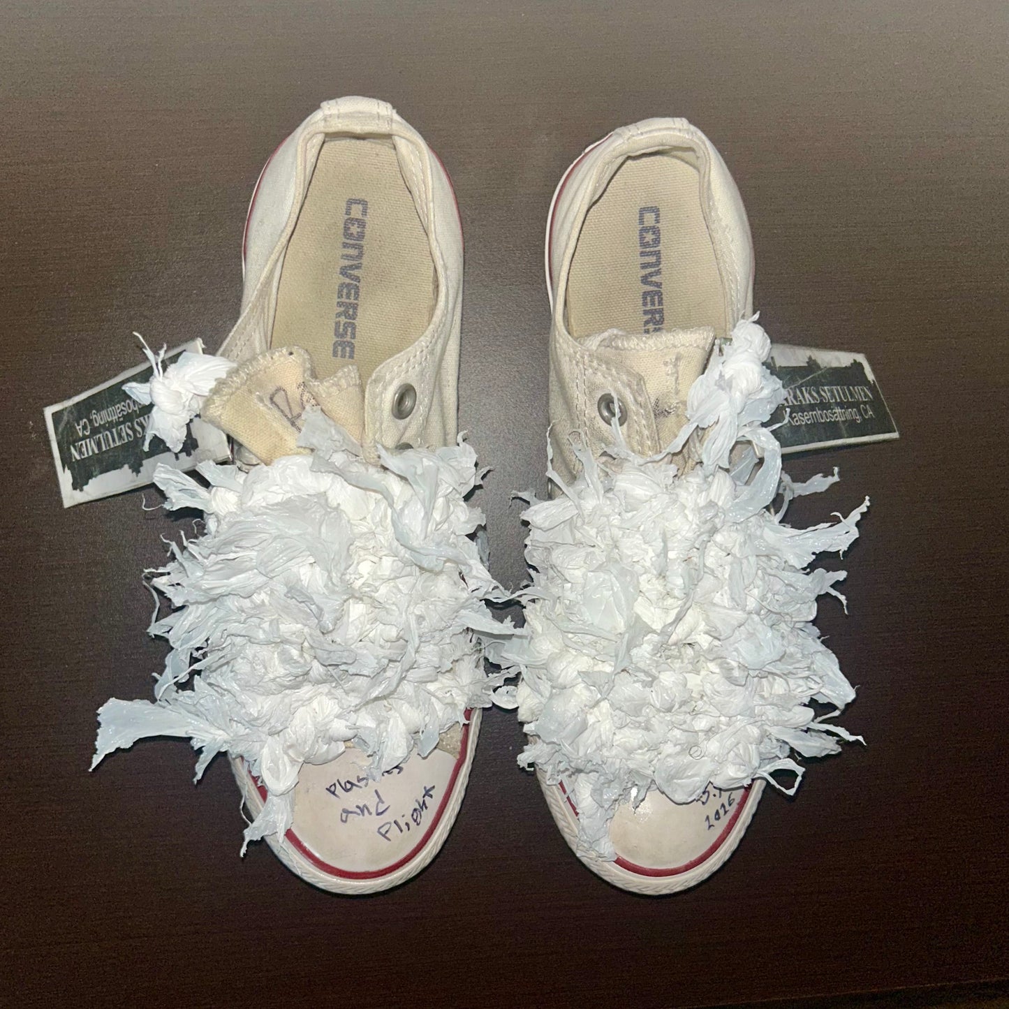 “Plastics and Plight” Sneakers (M6/ W8)