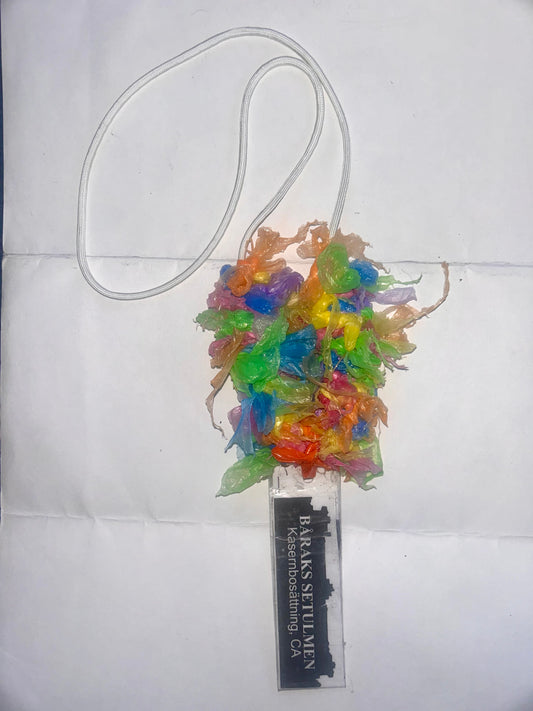 Necklace - 6/20/2025